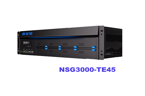 网神NSG3000-TE45P-Q奇安信新一代智慧防火墙